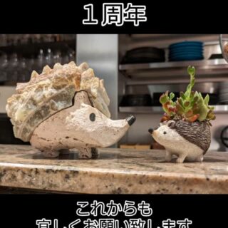 Cucinetta Porcospinoは 本日4月11日をもちまして 開店1周年を…