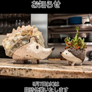 Cucinetta Porcospino (クチネッタ…