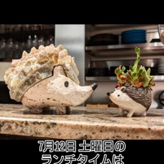 Cucinetta Porcospino (クチネッタ ポルコスピーノ) 〒530-0003…