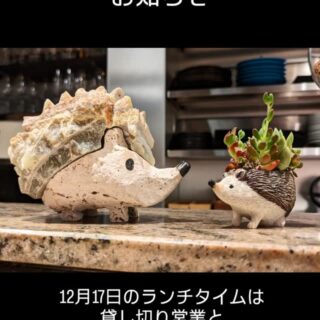 Cucinetta Porcospino (クチネッタ…