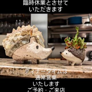 お知らせ Cucinetta Porcospino (…